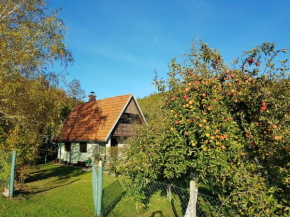 Hotels in Smiljan